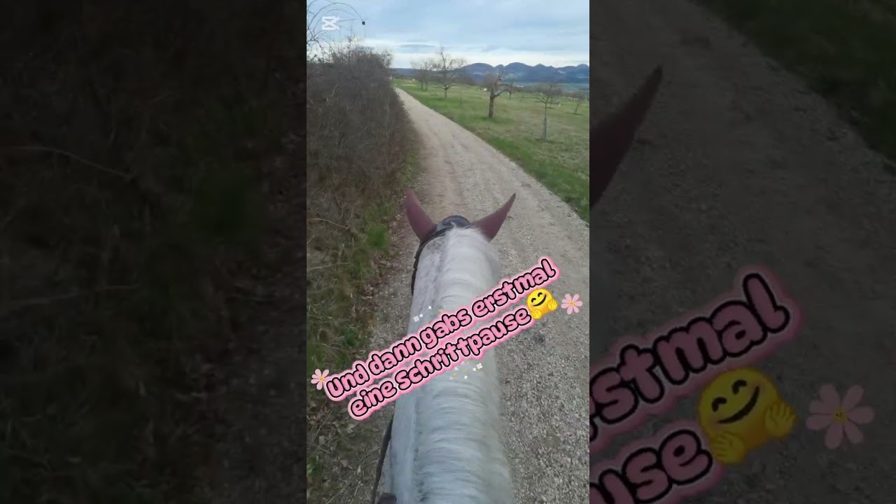 Training werend des Ausrits☺️🥰