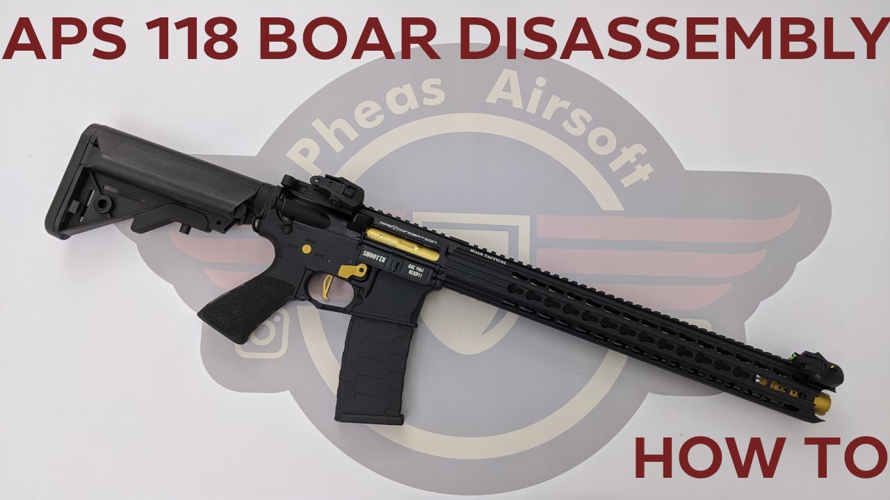 [HOW TO] APS ASR118 BOAR ESILVER EDITION DISASSEMBLY - Internal review