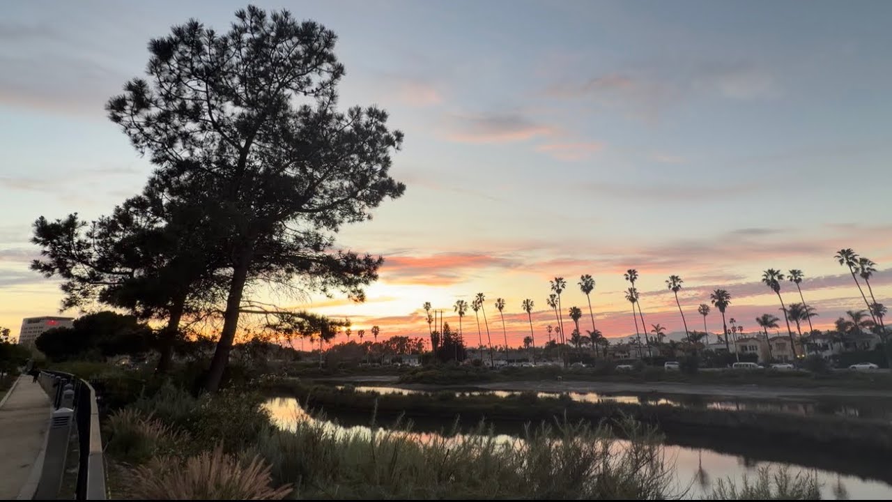 March 1, 2026: My evening walk in gratitude…