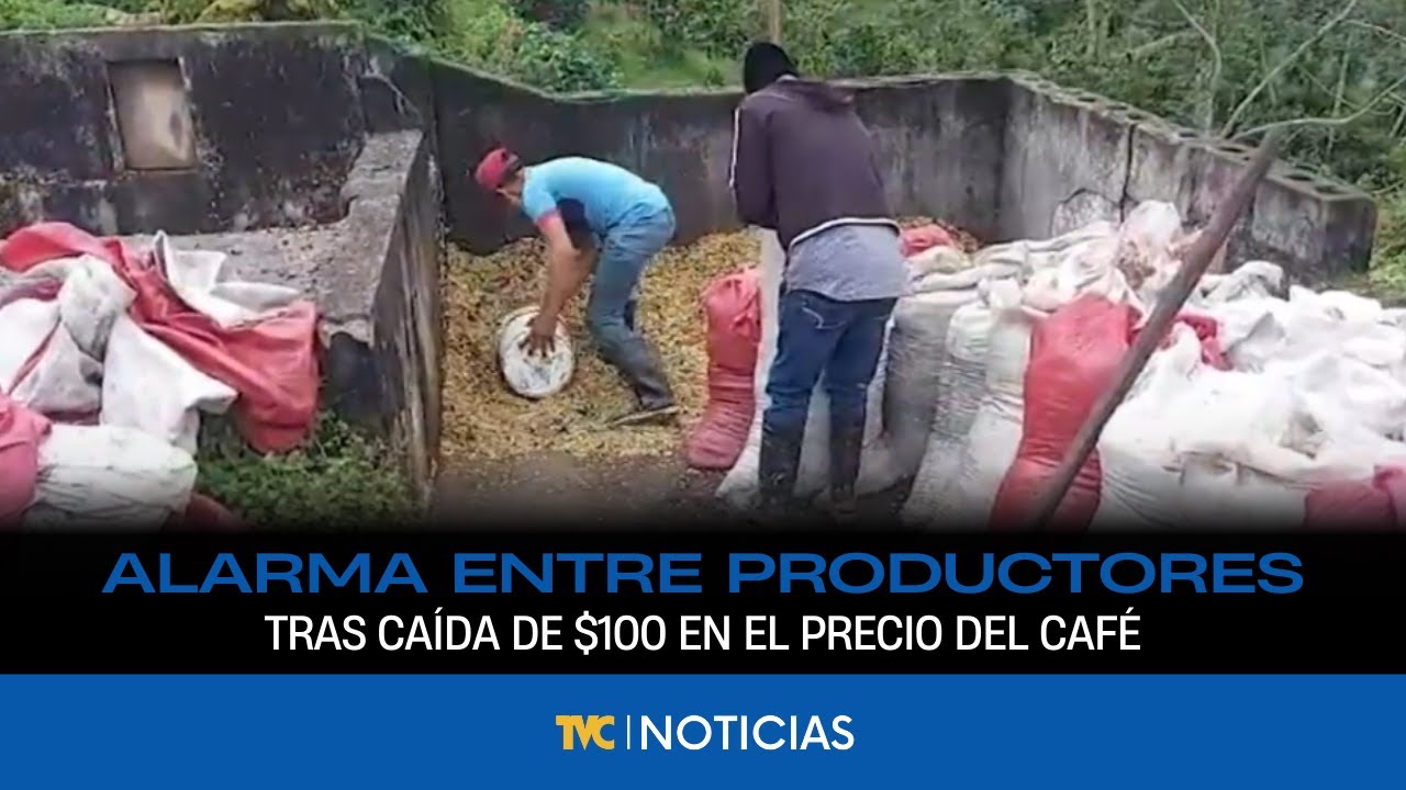 Precio del café se desploma en más de $100 y asciende alarma entre los productores