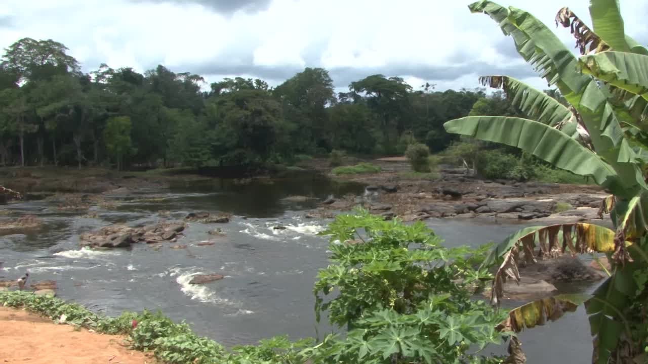 Surinam. Pingpe & jungle, Back-to-Basic?