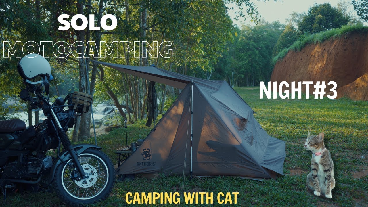 SoloMotoCamping/ Camping With Cat/ SoloRide /  ASMR