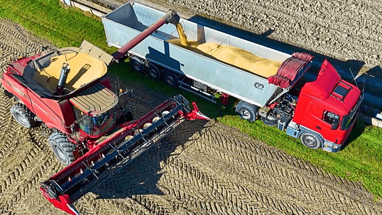 2025 CASE IH AXIAL FLOW 7088 Молотилка для сои