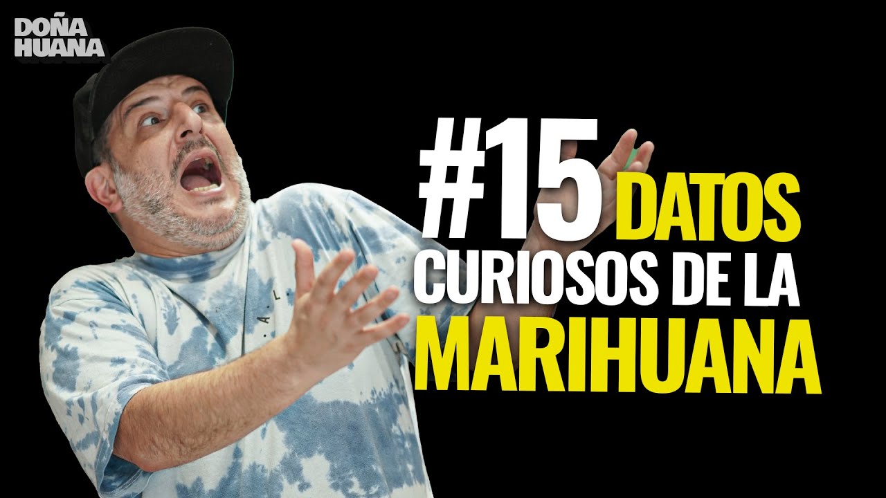 15 Datos curiosos de la Marihuana en Argentina