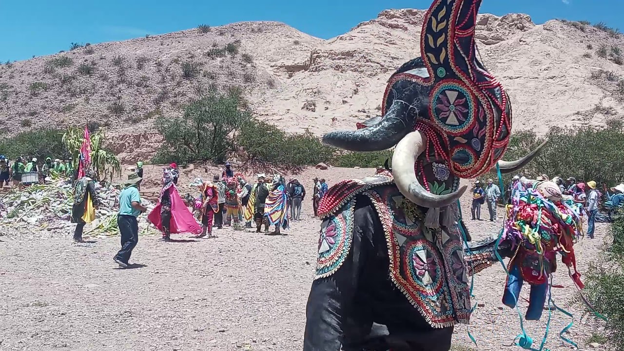 Desentierro los Alegres de Uquia 2021 parte 4