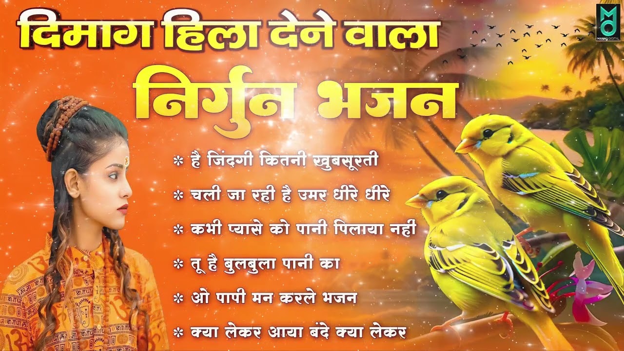 दिमाग हिला देने वाला निर्गुण भजन  !! Nonstop Nirgun Geet   Chetawani Bhajan 2026 !! Nirgun Bhajan