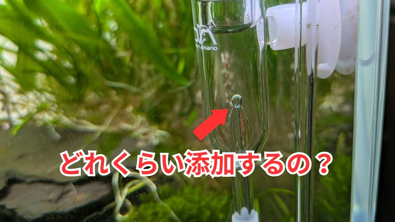 【CO2の添加量】目安や考え方をプロが解説！
