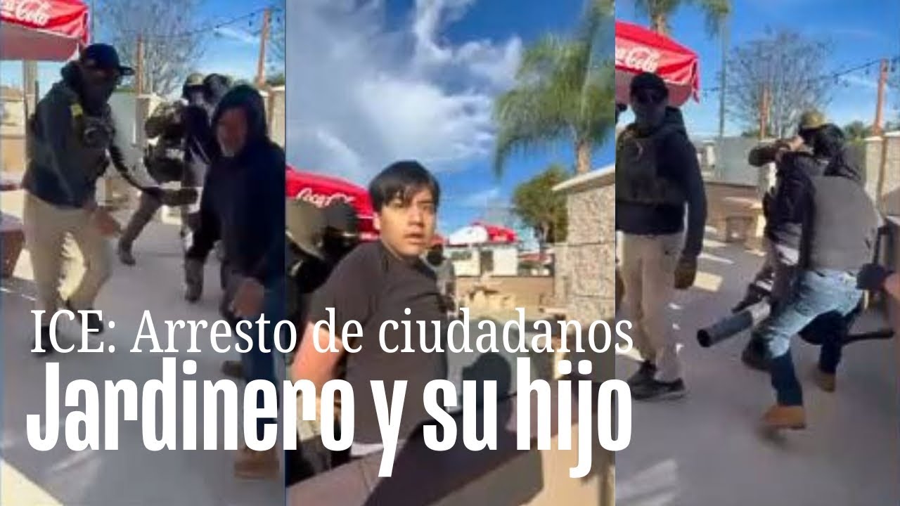 Noticiero Digital: Dramático arresto de menor ciudadano y su padre jardinero