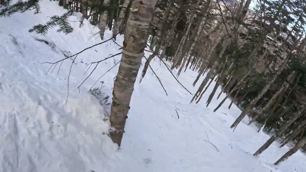Poppy Fields-Sunday River 2-16-26