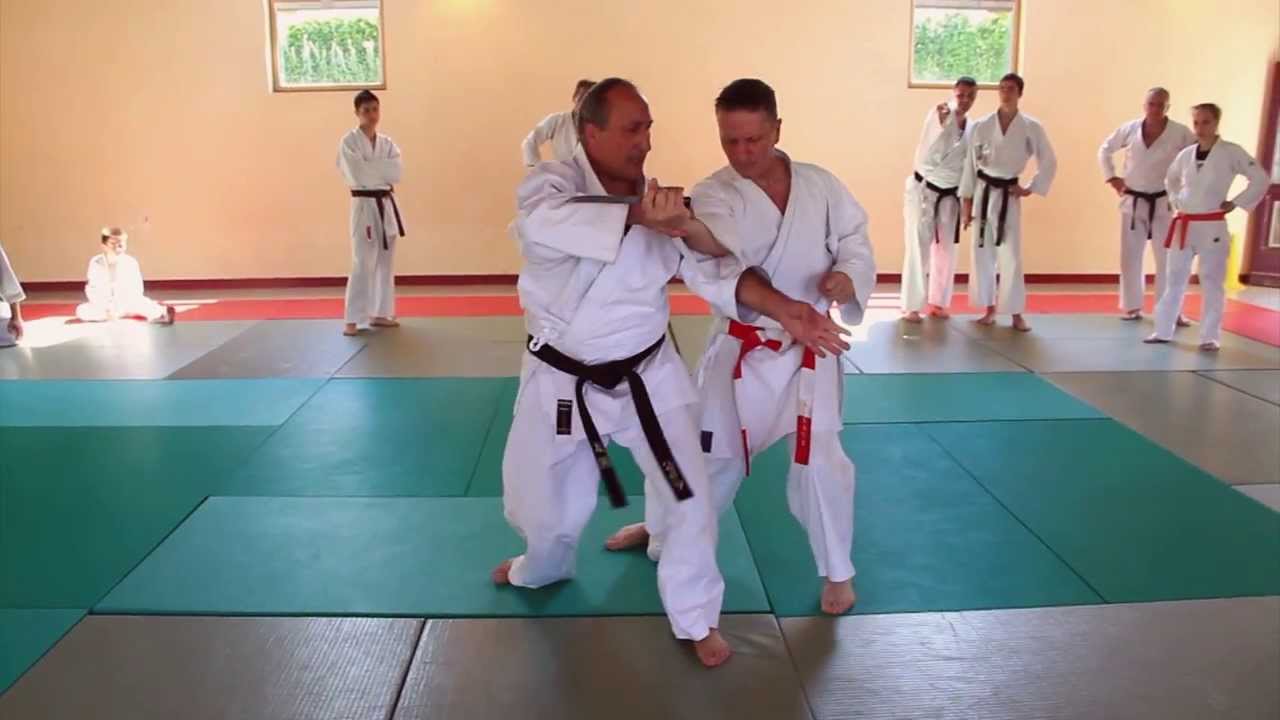 Taï-Jitsu Bande d'annonce Stage d'été 2012-2013