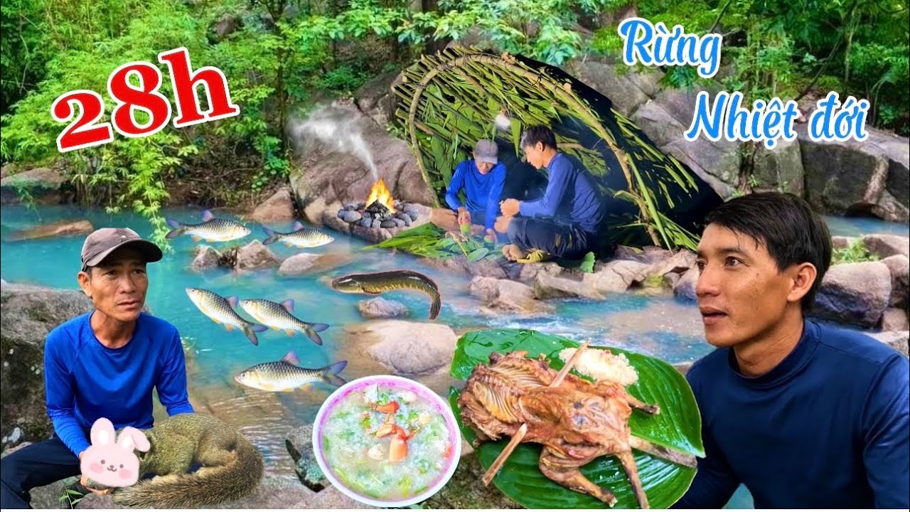 28h sống trong rừng nhiệt đới xây dựng nơi trú ẩn ven suối & tìm kiếm thức ăn | 28 hour survival