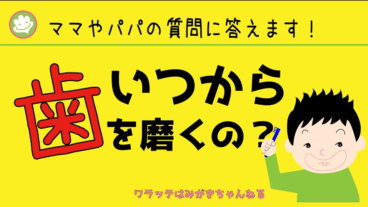 歯は、何本生えたら歯磨き始めるの？