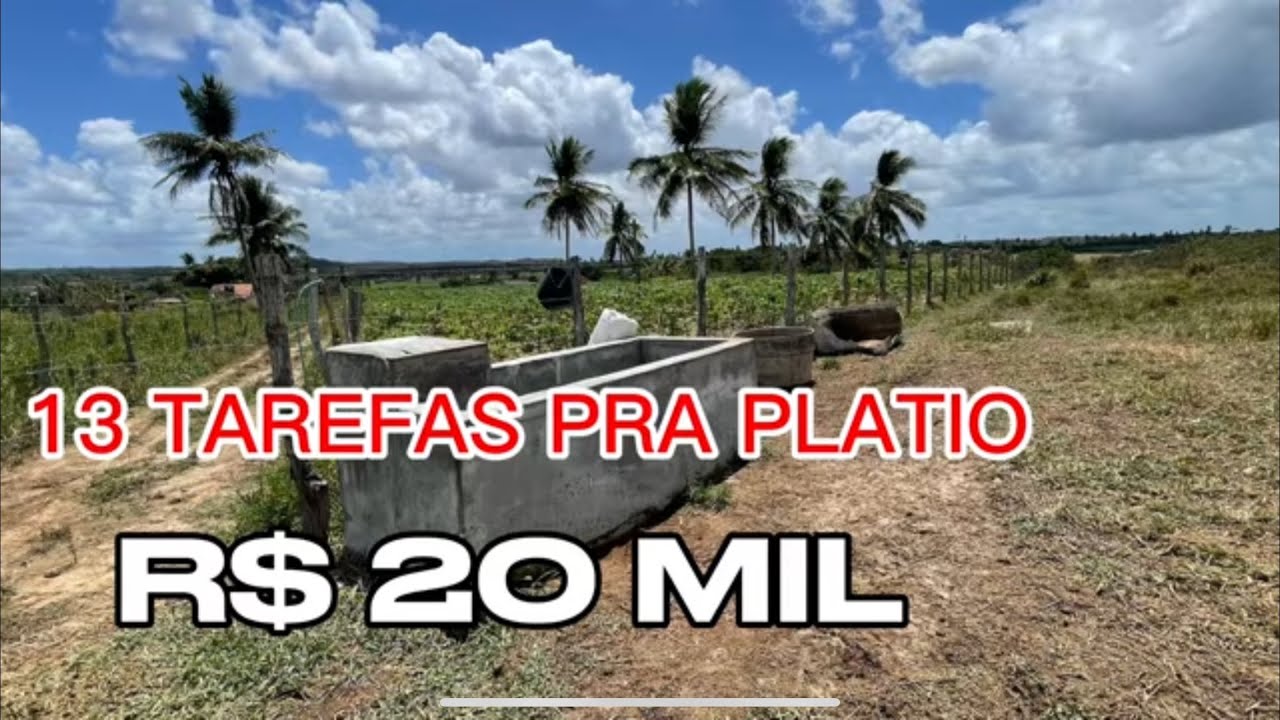 R$ 20 MIL CADA 13 TAREFAS ESCRITURADA TERRA PARA PLATIO CRIAÇÃO  SALGADO SERGIPE 079999632431