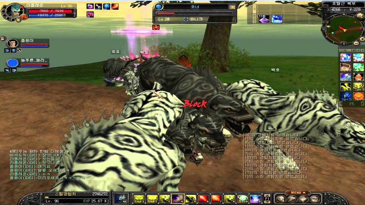 silkroad online     hunt boss monster     lv20 tiger girl