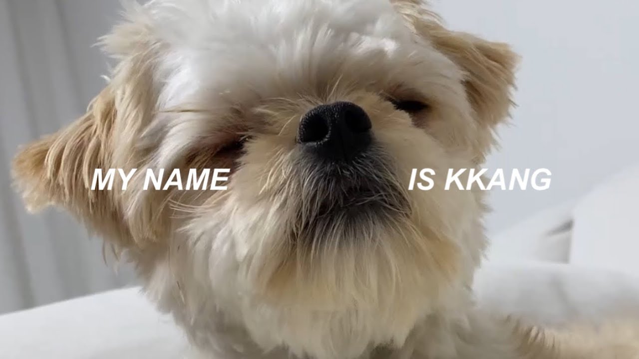 오랜만에 김깡이👼🏻[김깡이다MYKK]