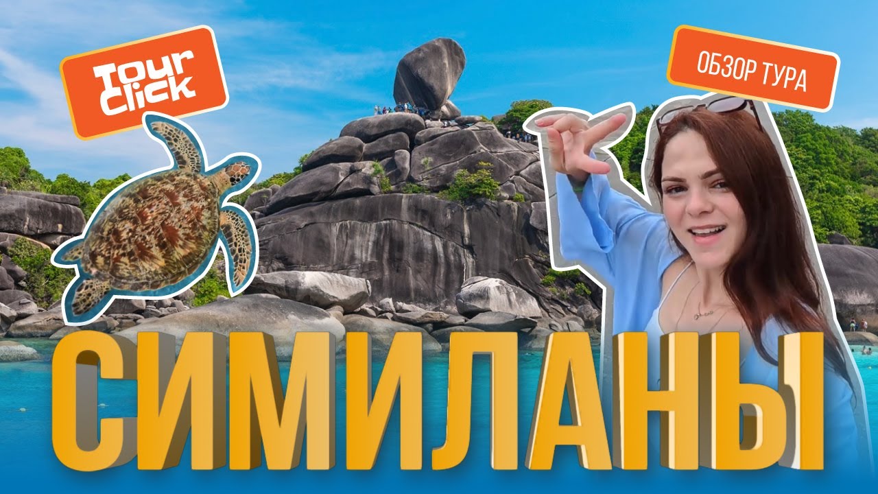 Она подплыла ко мне так близко… | Симиланские острова: полный обзор тура