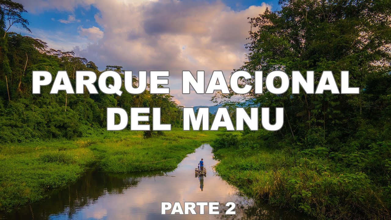 PARQUE NACIONAL DEL MANU, así fue mi segundo día conociendo la AMAZONIA, CUSCO | Jordy Aventurero