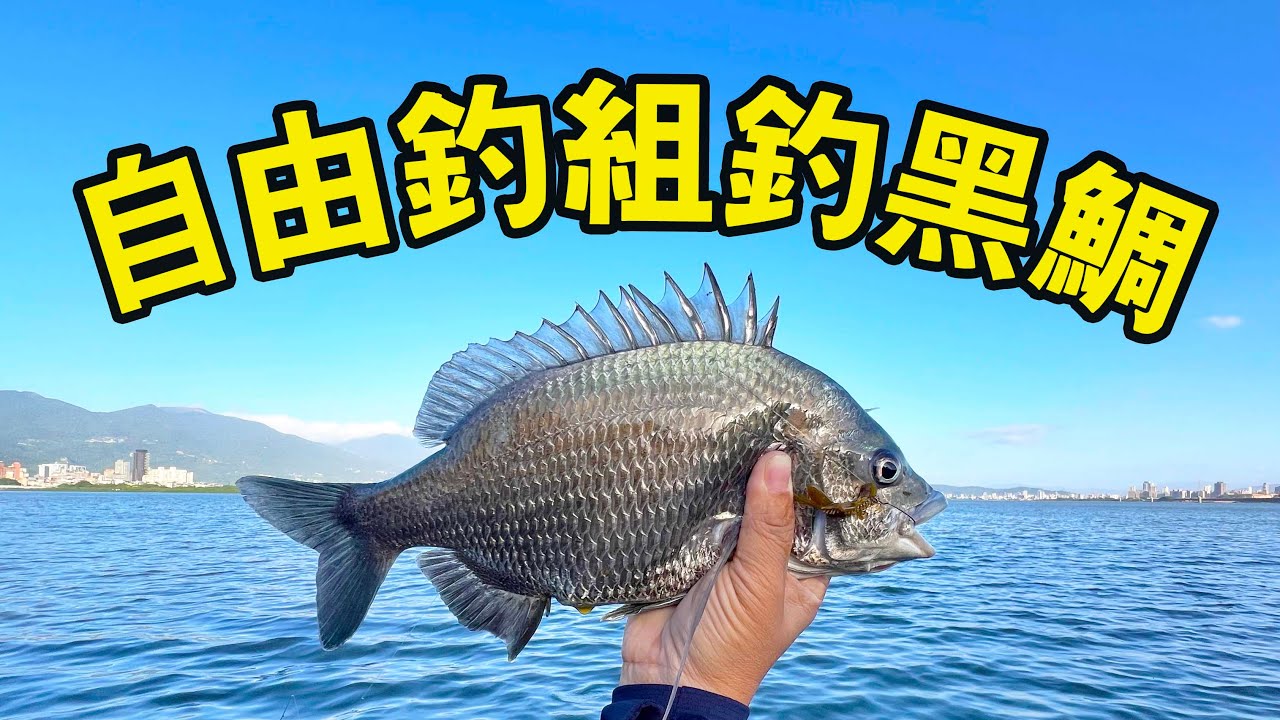 淡水河~自由釣組釣黑鯛