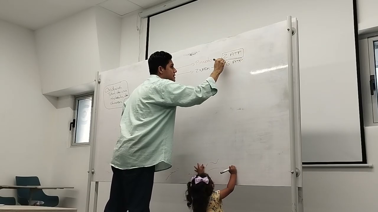 Tuto bioqui II 2/03