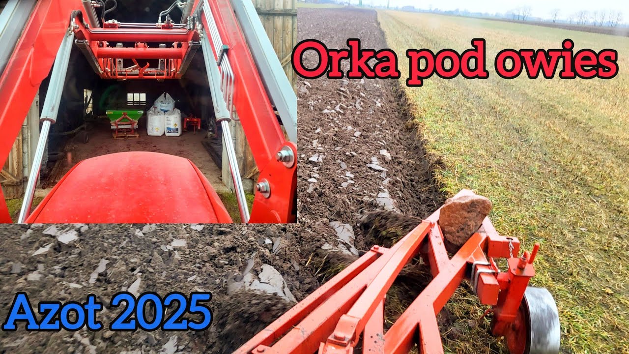ORKA pod owies // wianie zboża i nawozy 2025