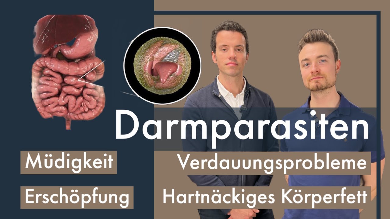 DARMPARASITEN | Sympthome | Folgen | Diagnostik gegen Protozoen
