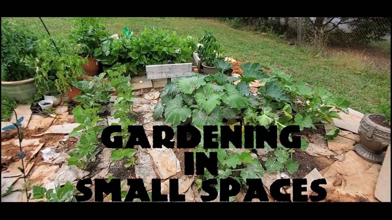 Thoughtful Tip's On Gardening A Small Space