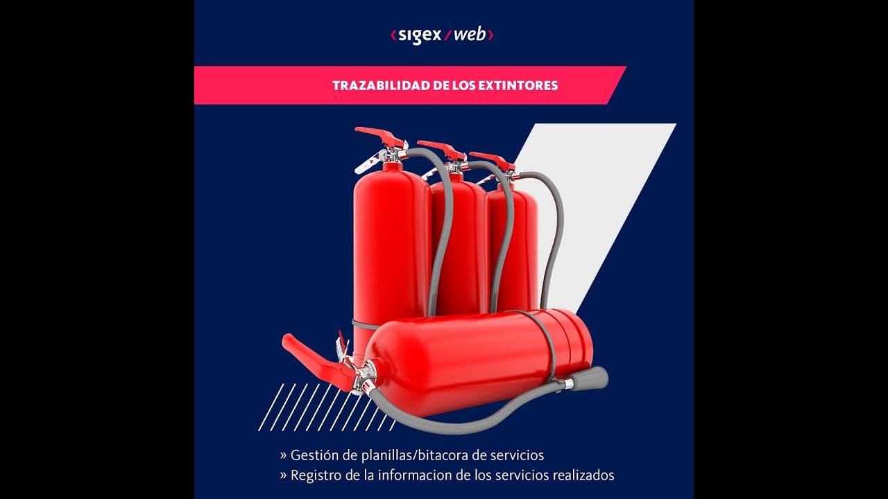 Tutorial Sigex Web  - Proceso de Taller