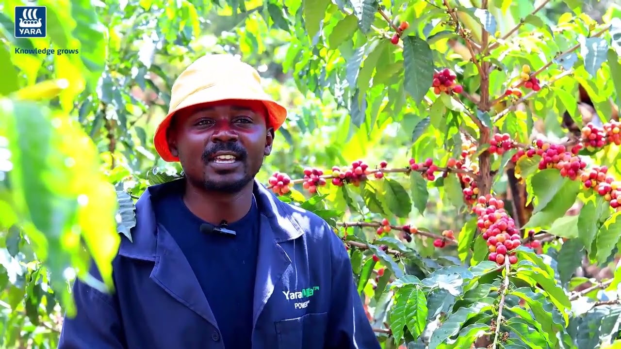 Yara Testimonial Kirinyaga Coffee Farm