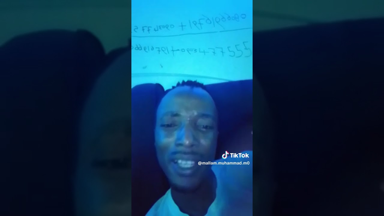 Jijiyar bishiya Wanda ta ketare hanya. Malam Muhammad Maiduguri