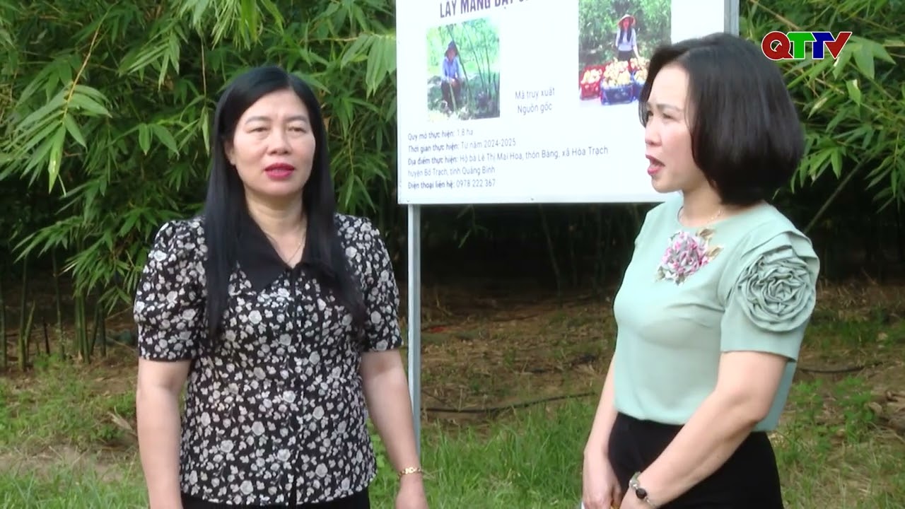 Chuyên mục Tài nguyên và môi trường Tháng 11 2025