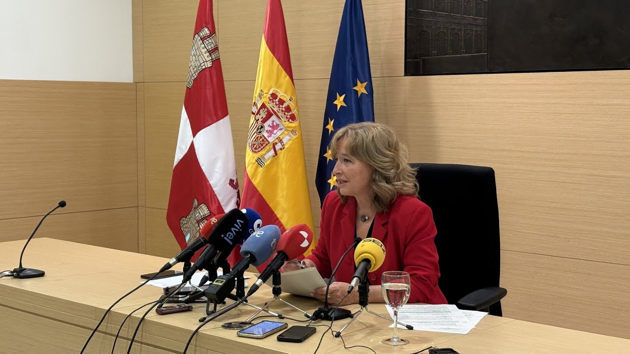 Memoria de Actividades y Funcionamiento del TSJCyL 2024