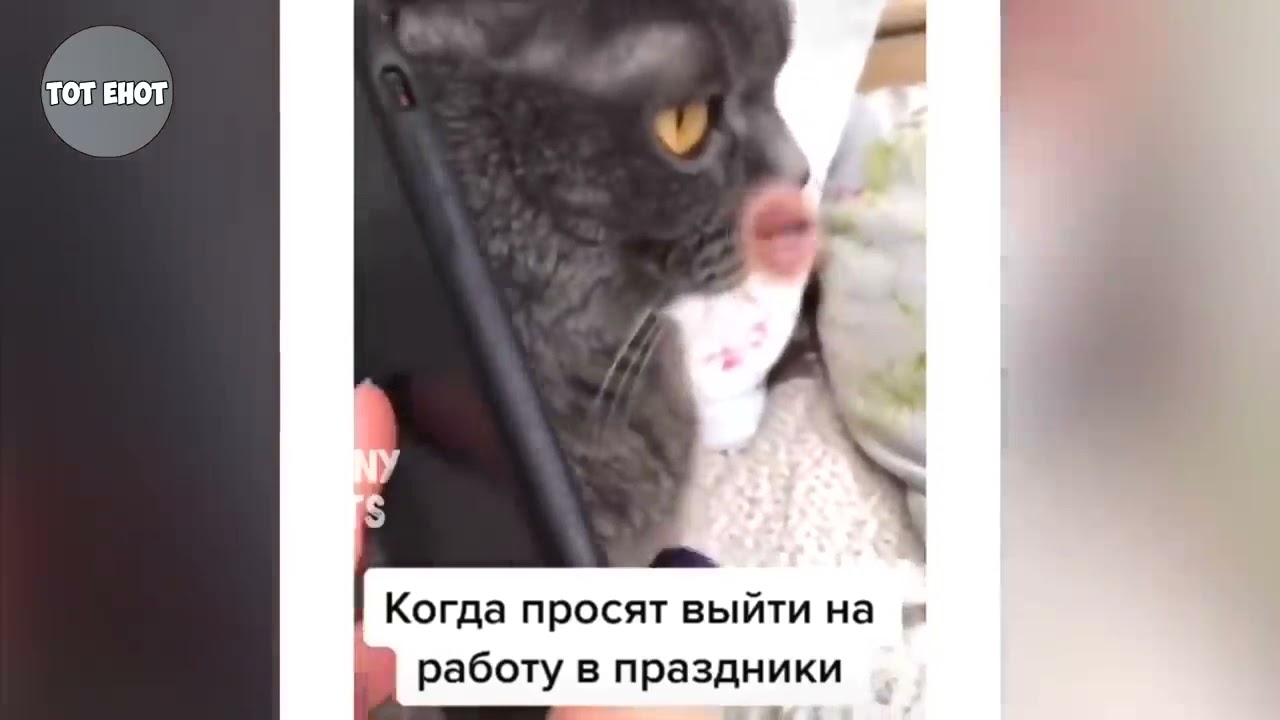 Top New Comedy Video 2021 😆🔥 | Самые смешные моменты года, подборка 😆🔥