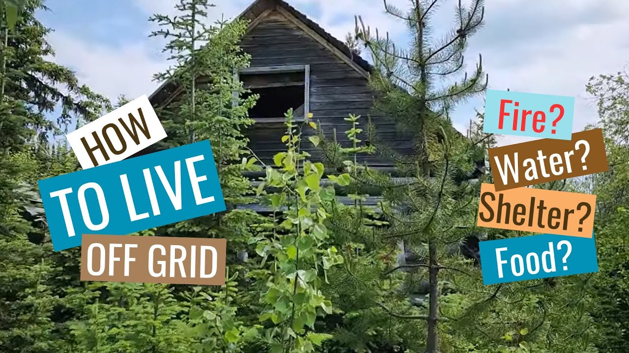 How to Live off Grid | MY WILD HOLM - S1 E4