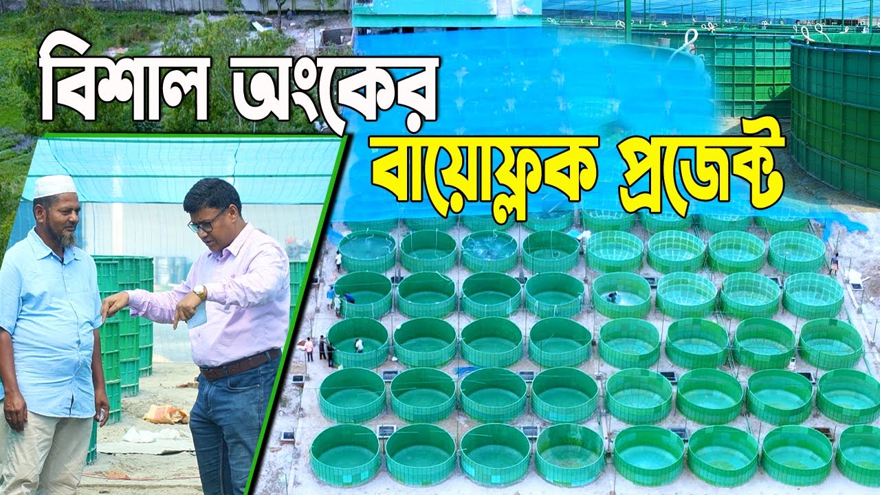 বিশাল পরিসরে। দেশের সর্বোচ্চ প্লাস্টিক ট্যাংকে বায়োফ্লক পদ্ধতিতে মাছ চাষ । Biofloc fish farming