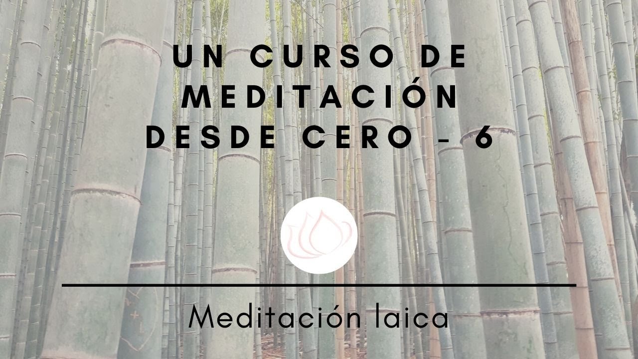 Cómo llevar tu meditación básica al día a día