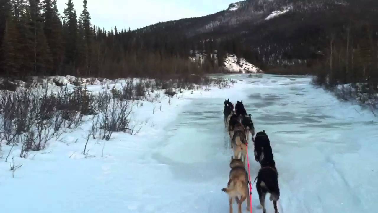 Crossing the Teklanika River