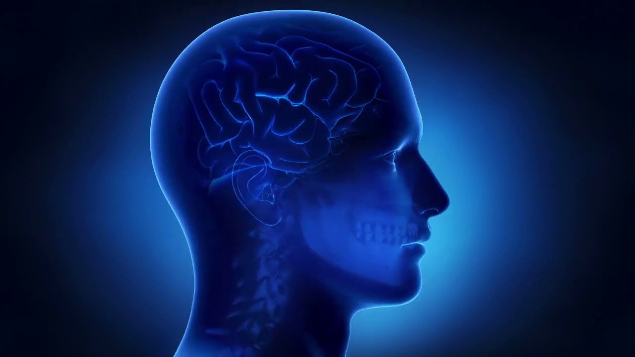 The Dominant Side Of The Brain - Left Or Right