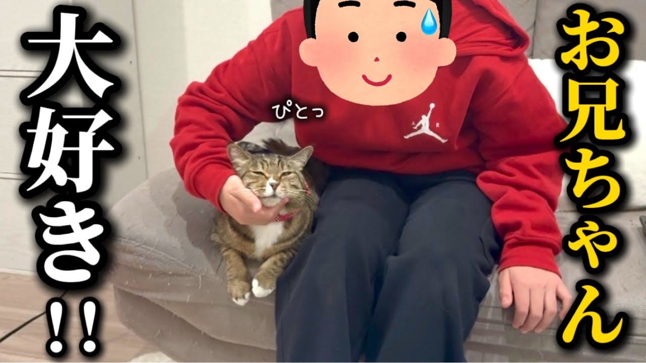 初めて会ったお兄ちゃんを大好きになりすぎてしまった元ボス猫