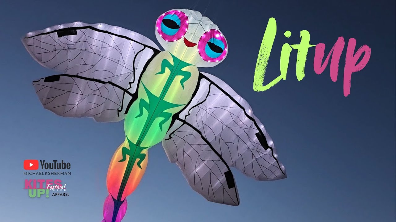 Huge LED Dragonfly Kite Lights Up the Sky