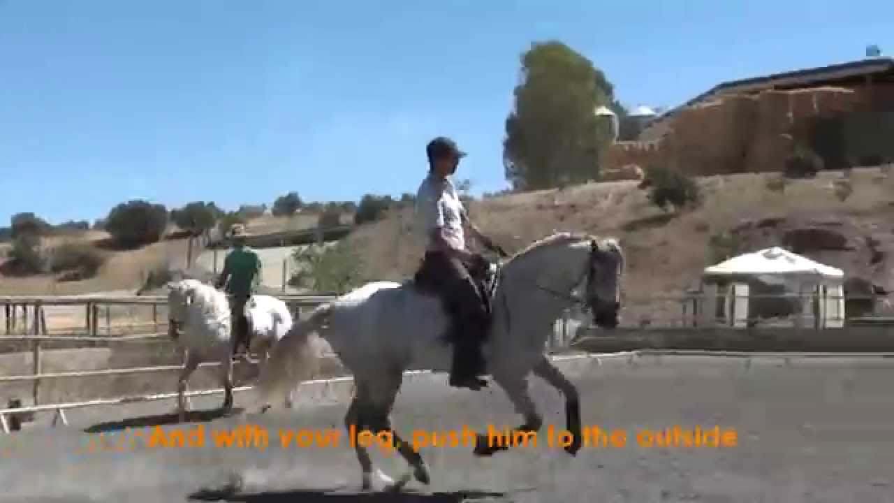 Yeguada Aimaran: Clinic con Enrique Cruces. Entrenando un caballo de 4 años