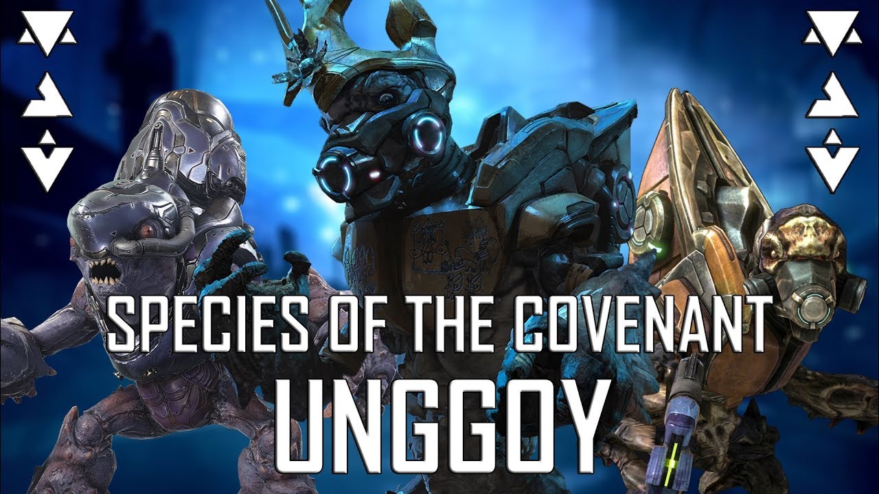 Species of the Covenant-Unggoy
