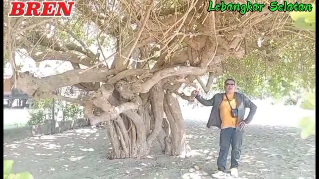 DANGDUT SUMBAWA - BOLAT KARANTE - cipt - BREN FORSA. 