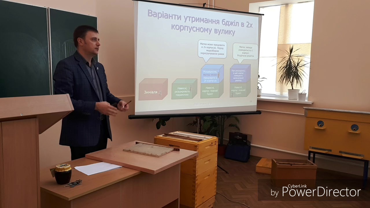 Утримання бджіл в двухкорпусному вулику