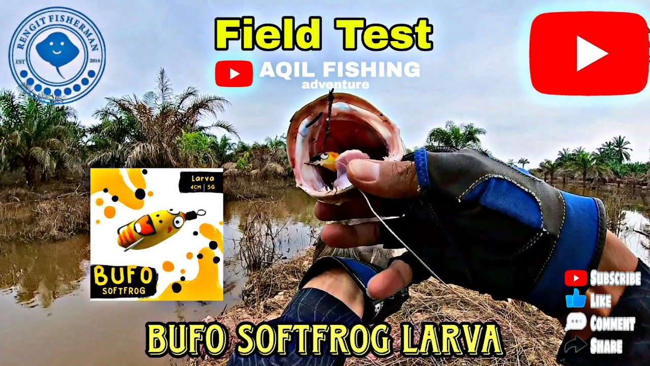 ‼️ FIELD TEST ‼️ BUFO SOFT FROG LARVA by Rengit fisherman #fieldtest #bufolarva #softfrog #casting