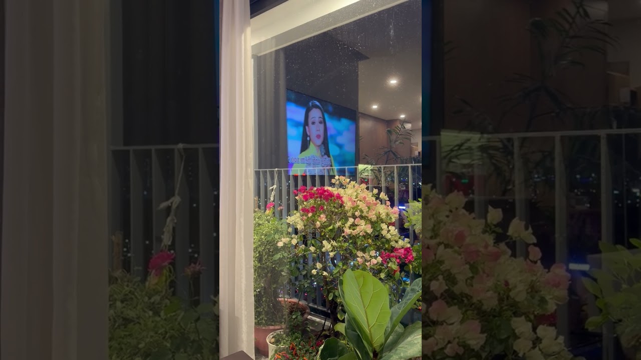 Karaoke Song ca Hái hoa rừng cho em 