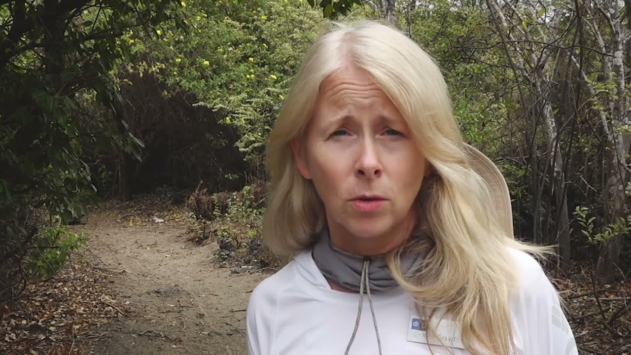 National Geographic Grosvenor Fellow, Angela Crawford