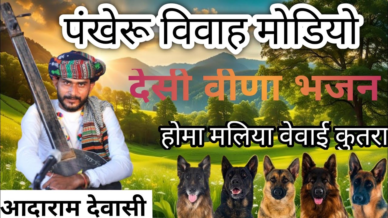 पंखेरु विवाह मोडियो!! आदाराम देवासी!! देसी वीणा भजन!! होमा मलिया वेवाई कुतरा!!#desiveenabhajan #desi