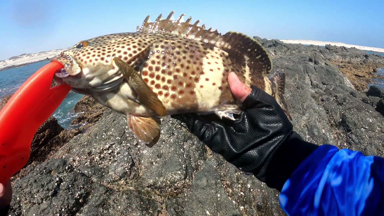Fishing at masirah Island