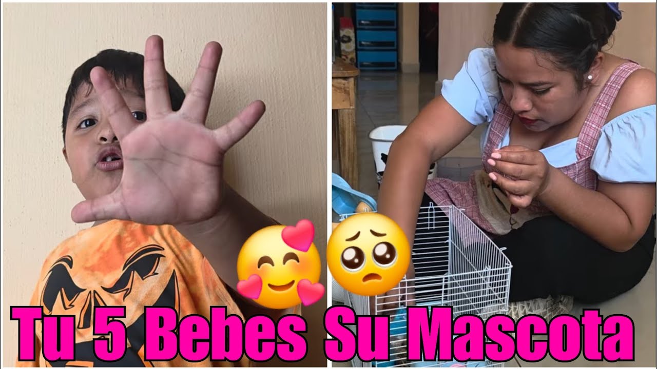 OMG! No sabíamos que Estaba Embarazada 🤰  la Haster De Jeremy🤯😱