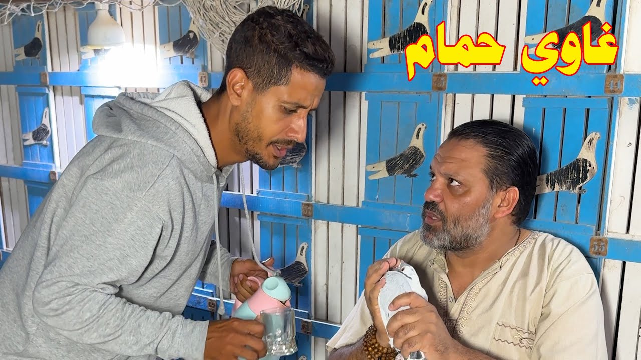 قاعد بعشة الحمام وسايب مصالح الناس بعد منجح بالانتخابات